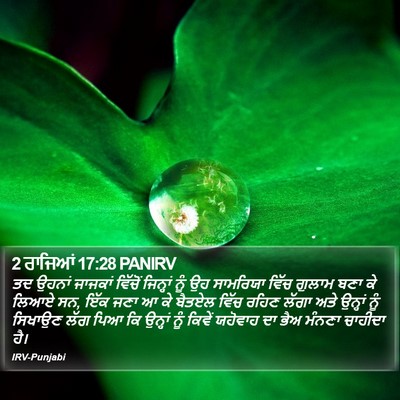 2 ਰਾਜਿਆਂ 17:28 PANIRV Bible Verse Image