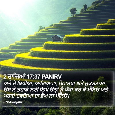 2 ਰਾਜਿਆਂ 17:37 PANIRV Bible Verse Image