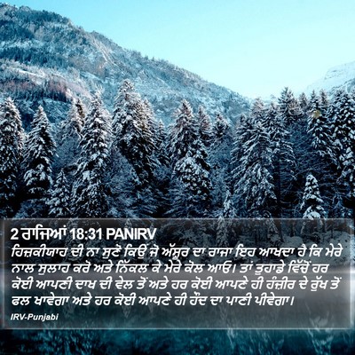 2 ਰਾਜਿਆਂ 18:31 PANIRV Bible Verse Image