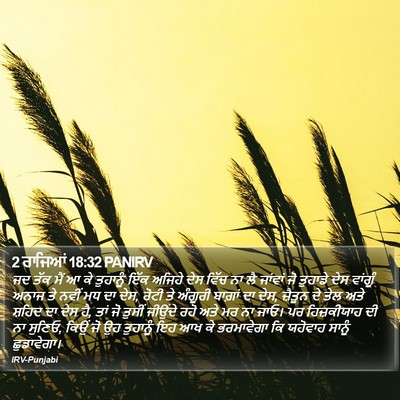 2 ਰਾਜਿਆਂ 18:32 PANIRV Bible Verse Image