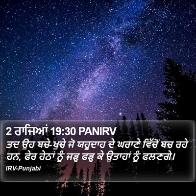 2 ਰਾਜਿਆਂ 19:30 PANIRV Bible Verse Image