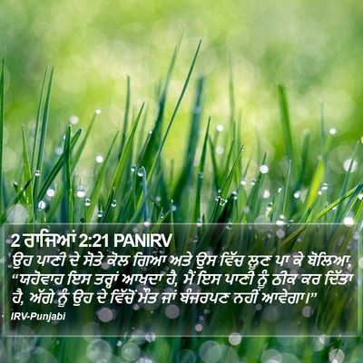 2 ਰਾਜਿਆਂ 2:21 PANIRV Bible Verse Image