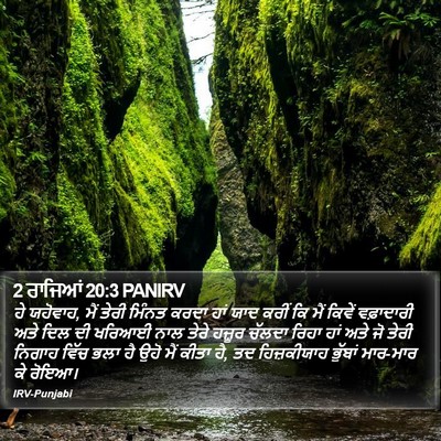 2 ਰਾਜਿਆਂ 20:3 PANIRV Bible Verse Image