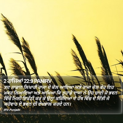 2 ਰਾਜਿਆਂ 22:9 PANIRV Bible Verse Image