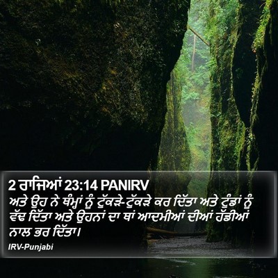 2 ਰਾਜਿਆਂ 23:14 PANIRV Bible Verse Image
