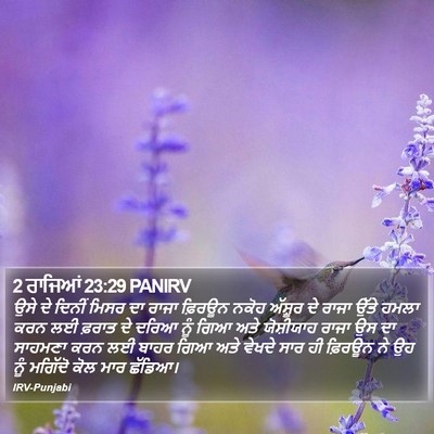 2 ਰਾਜਿਆਂ 23:29 PANIRV Bible Verse Image