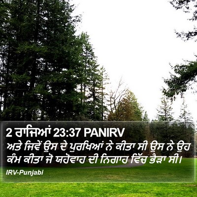2 ਰਾਜਿਆਂ 23:37 PANIRV Bible Verse Image