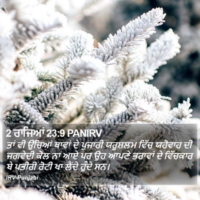 2 ਰਾਜਿਆਂ 23:9 PANIRV Bible Verse Image