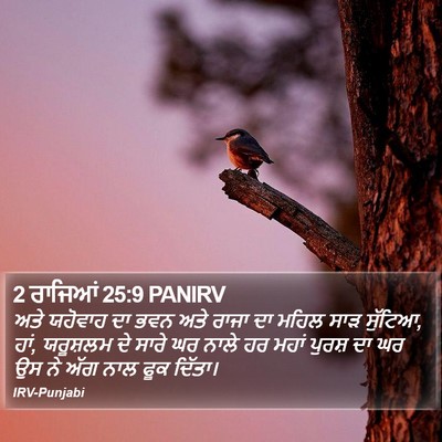 2 ਰਾਜਿਆਂ 25:9 PANIRV Bible Verse Image