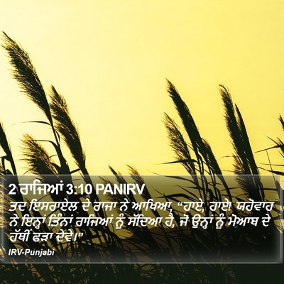 2 ਰਾਜਿਆਂ 3:10 PANIRV Bible Verse Image