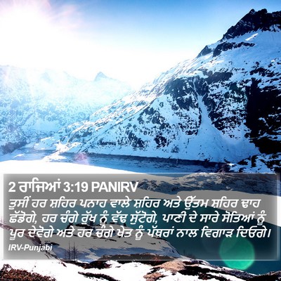 2 ਰਾਜਿਆਂ 3:19 PANIRV Bible Verse Image