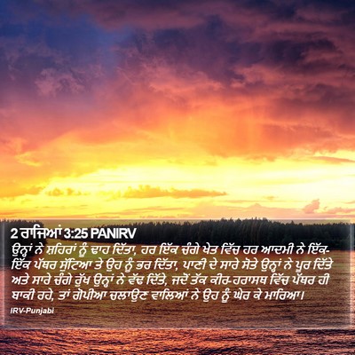 2 ਰਾਜਿਆਂ 3:25 PANIRV Bible Verse Image