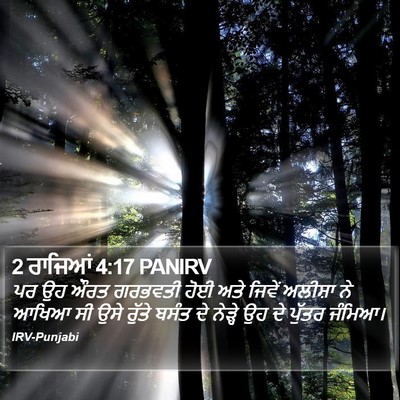 2 ਰਾਜਿਆਂ 4:17 PANIRV Bible Verse Image