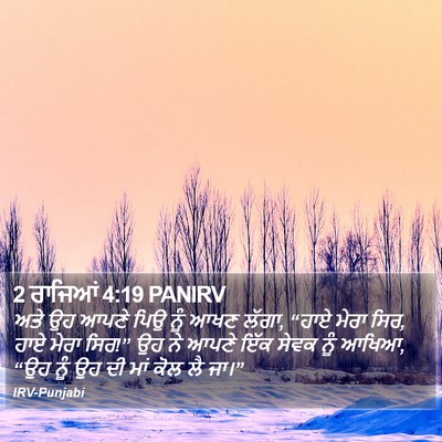 2 ਰਾਜਿਆਂ 4:19 PANIRV Bible Verse Image