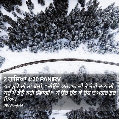 2 ਰਾਜਿਆਂ 4:30 PANIRV Bible Verse Image
