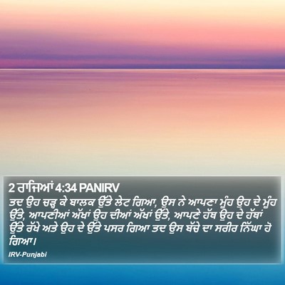 2 ਰਾਜਿਆਂ 4:34 PANIRV Bible Verse Image