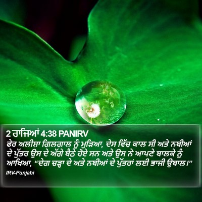 2 ਰਾਜਿਆਂ 4:38 PANIRV Bible Verse Image