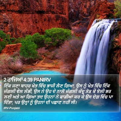 2 ਰਾਜਿਆਂ 4:39 PANIRV Bible Verse Image