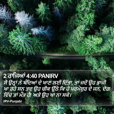 2 ਰਾਜਿਆਂ 4:40 PANIRV Bible Verse Image