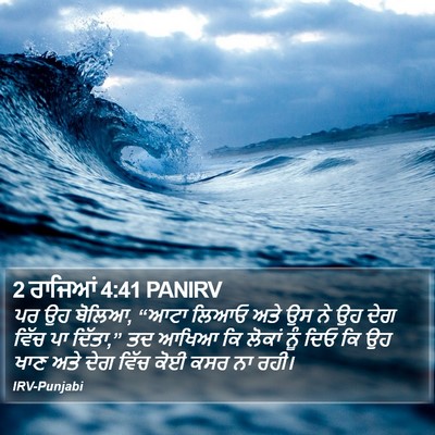 2 ਰਾਜਿਆਂ 4:41 PANIRV Bible Verse Image