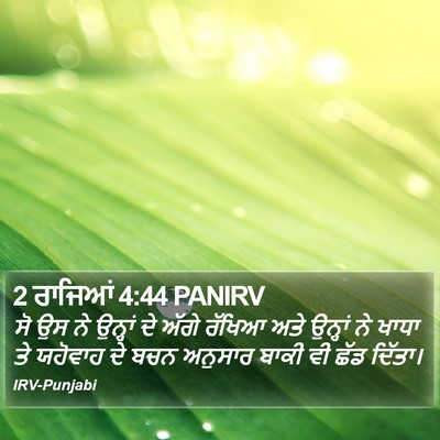 2 ਰਾਜਿਆਂ 4:44 PANIRV Bible Verse Image
