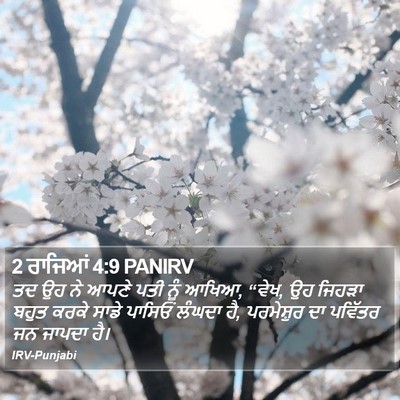 2 ਰਾਜਿਆਂ 4:9 PANIRV Bible Verse Image