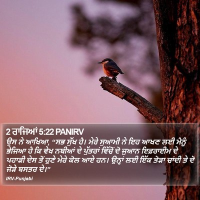 2 ਰਾਜਿਆਂ 5:22 PANIRV Bible Verse Image