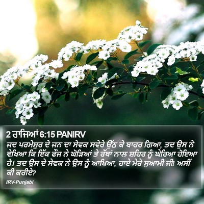 2 ਰਾਜਿਆਂ 6:15 PANIRV Bible Verse Image