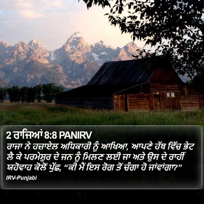 2 ਰਾਜਿਆਂ 8:8 PANIRV Bible Verse Image