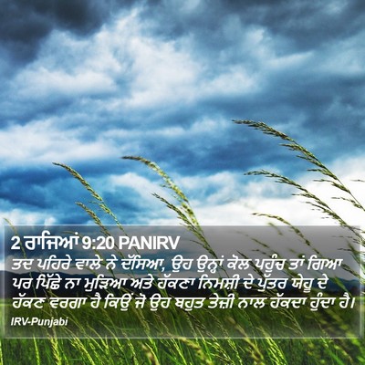 2 ਰਾਜਿਆਂ 9:20 PANIRV Bible Verse Image