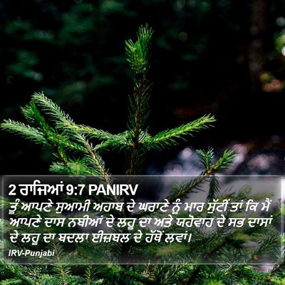 2 ਰਾਜਿਆਂ 9:7 PANIRV Bible Verse Image