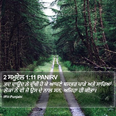 2 ਸਮੂਏਲ 1:11 PANIRV Bible Verse Image