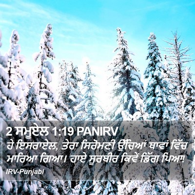 2 ਸਮੂਏਲ 1:19 PANIRV Bible Verse Image