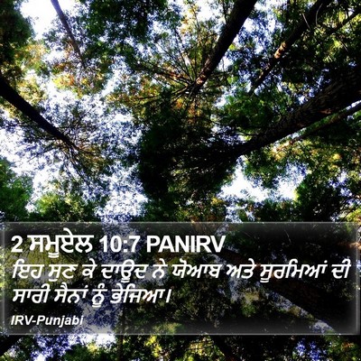 2 ਸਮੂਏਲ 10:7 PANIRV Bible Verse Image