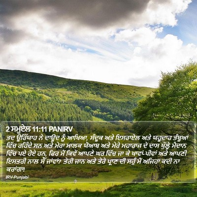 2 ਸਮੂਏਲ 11:11 PANIRV Bible Verse Image