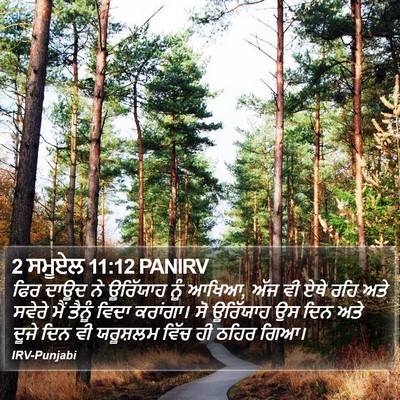 2 ਸਮੂਏਲ 11:12 PANIRV Bible Verse Image