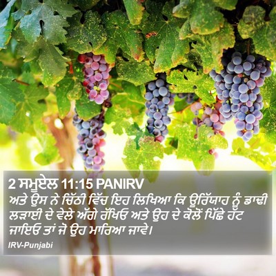 2 ਸਮੂਏਲ 11:15 PANIRV Bible Verse Image