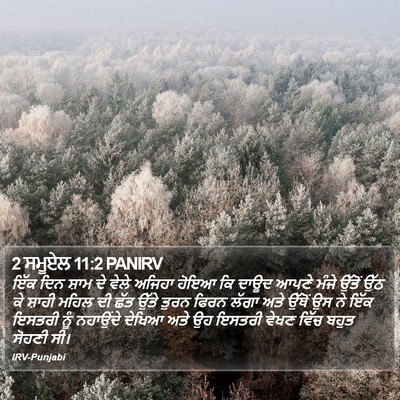 2 ਸਮੂਏਲ 11:2 PANIRV Bible Verse Image