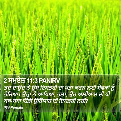 2 ਸਮੂਏਲ 11:3 PANIRV Bible Verse Image