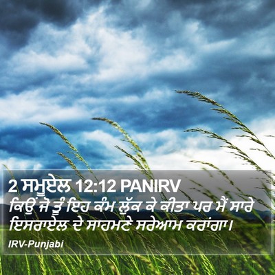 2 ਸਮੂਏਲ 12:12 PANIRV Bible Verse Image