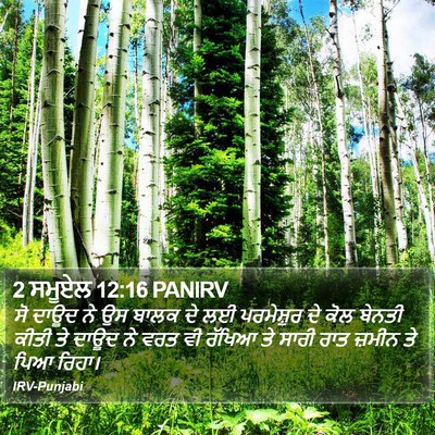 2 ਸਮੂਏਲ 12:16 PANIRV Bible Verse Image
