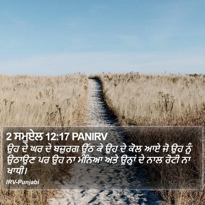 2 ਸਮੂਏਲ 12:17 PANIRV Bible Verse Image