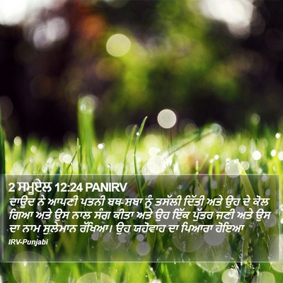 2 ਸਮੂਏਲ 12:24 PANIRV Bible Verse Image