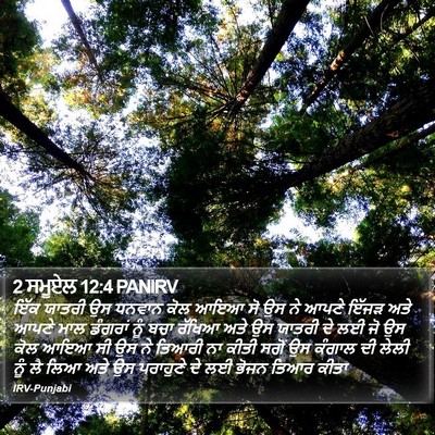 2 ਸਮੂਏਲ 12:4 PANIRV Bible Verse Image