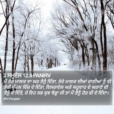 2 ਸਮੂਏਲ 12:8 PANIRV Bible Verse Image