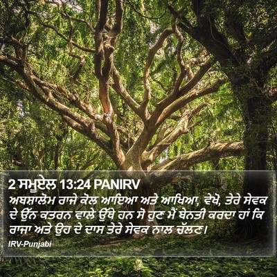 2 ਸਮੂਏਲ 13:24 PANIRV Bible Verse Image