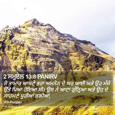 2 ਸਮੂਏਲ 13:8 PANIRV Bible Verse Image