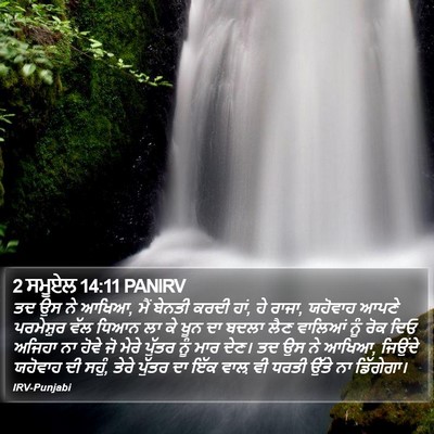 2 ਸਮੂਏਲ 14:11 PANIRV Bible Verse Image