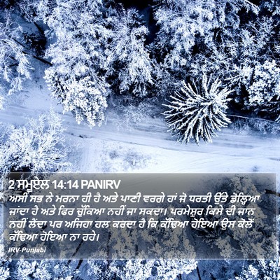 2 ਸਮੂਏਲ 14:14 PANIRV Bible Verse Image