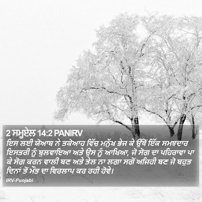 2 ਸਮੂਏਲ 14:2 PANIRV Bible Verse Image